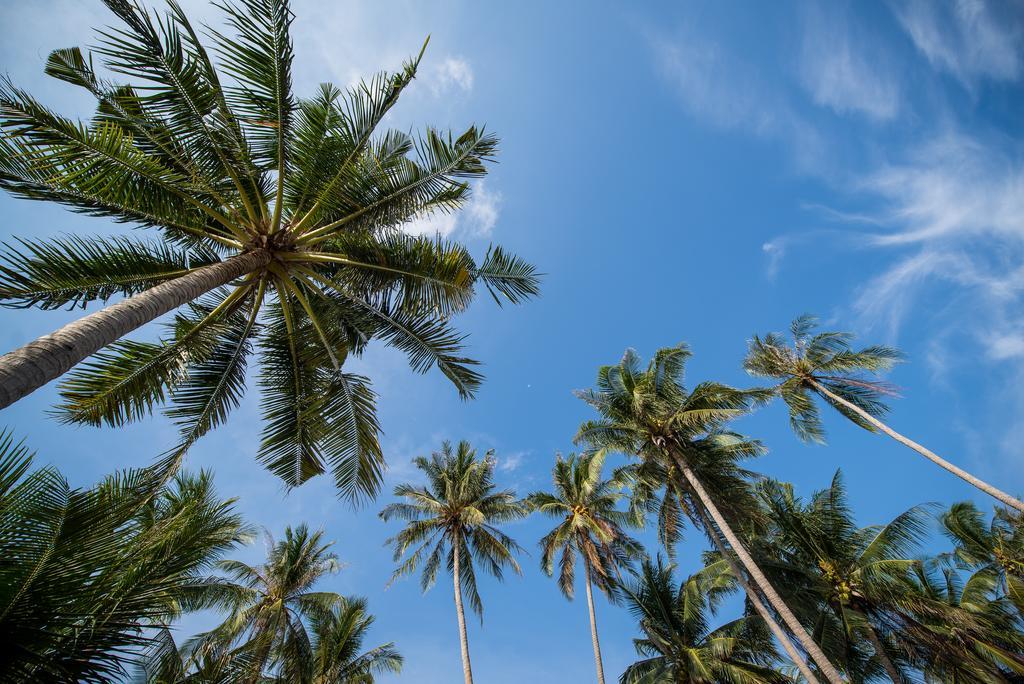 Seavana Koh Mak Beach Resort Zewnętrze zdjęcie